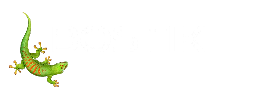 Bostik, smart adhesives 